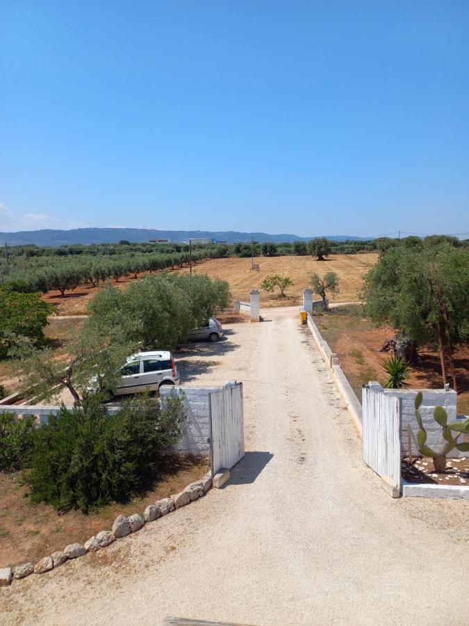 Lama Cupa Φαζάνο Εξωτερικό φωτογραφία