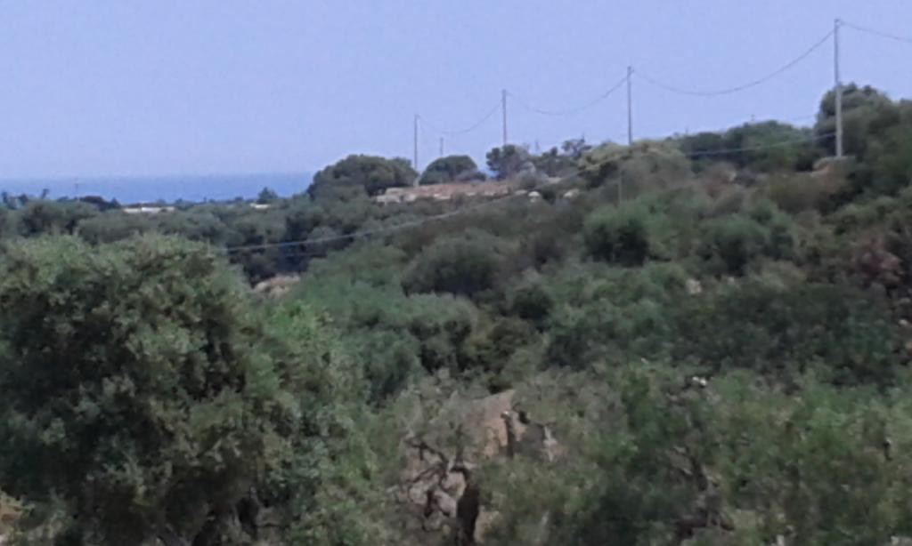 Lama Cupa Φαζάνο Εξωτερικό φωτογραφία